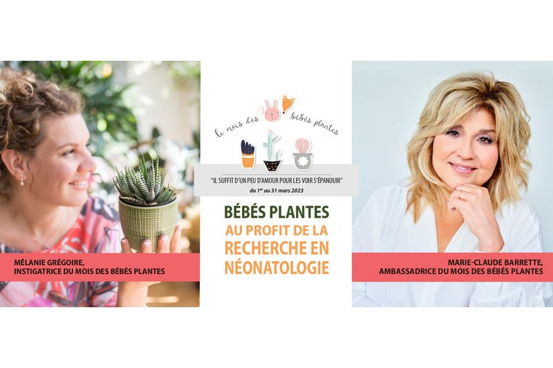 Des plantes pour aider les bébés prématurés